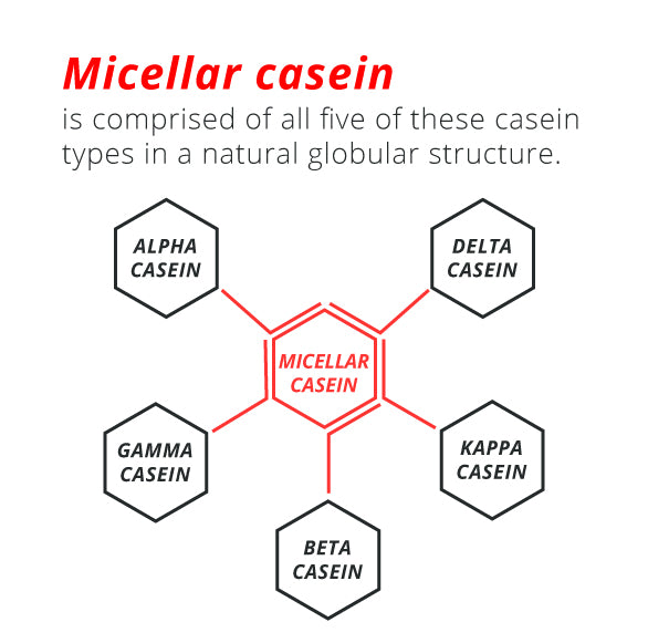 What Micellar Casein and Why You Care