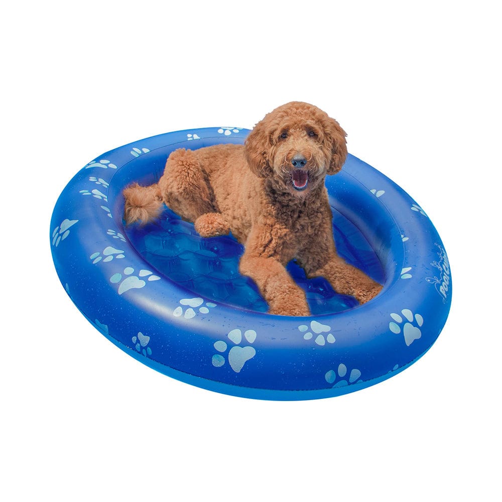 dog in inflatable pool