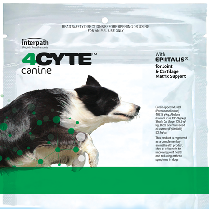 4cyte canine afterpay