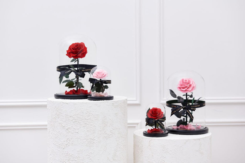 Everlasting Rose dome Valentine's gift ideas