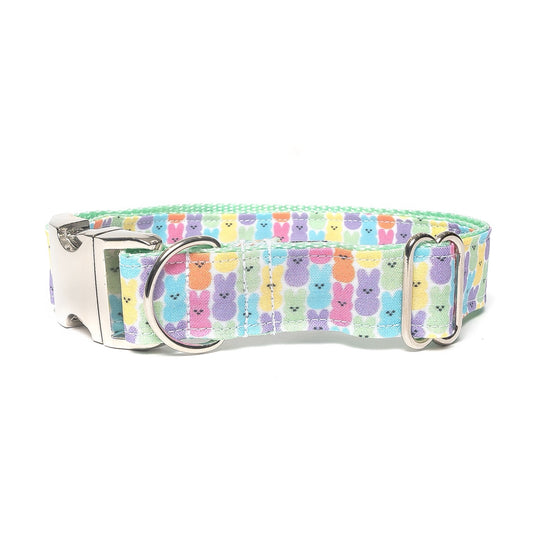 TACO - DOG COLLAR – Dapper Dexter