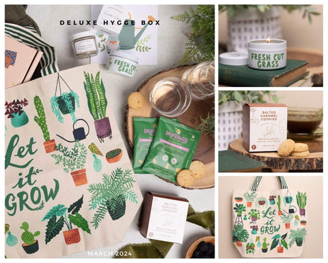 Shop Hygge Box March 2024 Deluxe Hygge Box