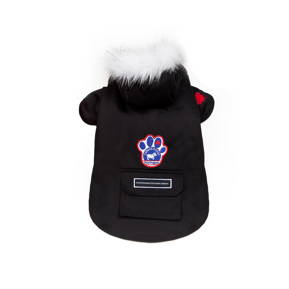 canada pooch winter wilderness parka