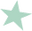 Sugarloaf Baby Shop Star Logo