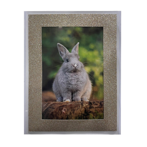 Bunny in field of grass framed by Glitter Gold Frame in Magnetic PHoto Pocket