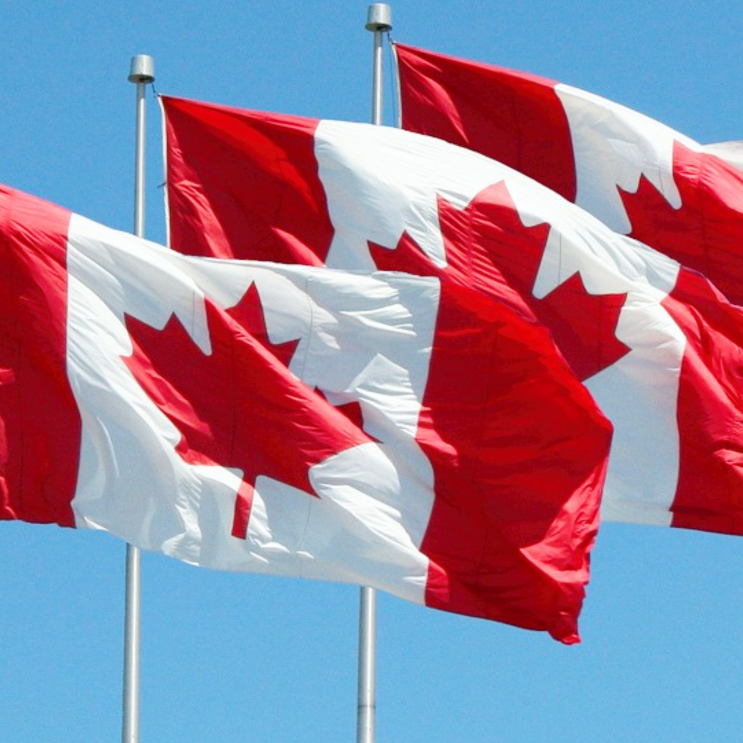 Sewn Canada Flags Canada Flag Sale On Now Dominion Regalia Ltd