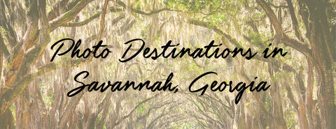 photo destinations savannah