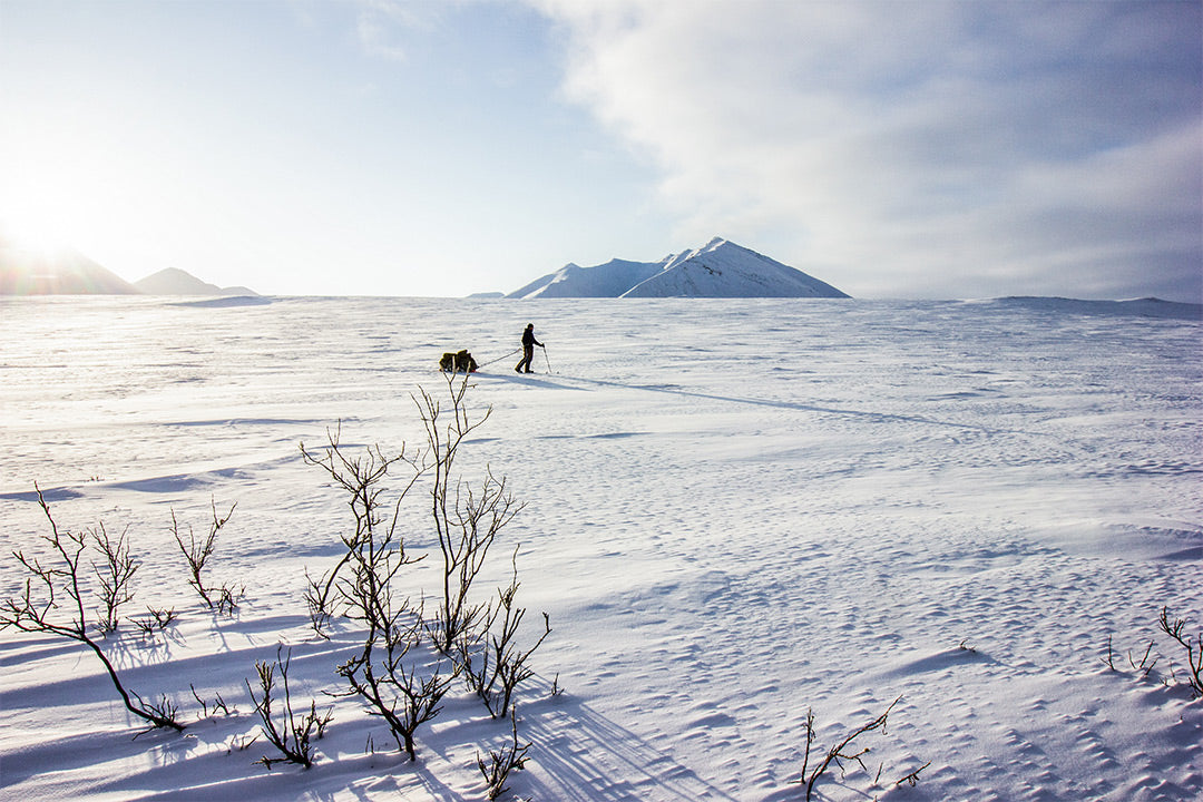 Arctic Explorer cross country skiing while pulling a sled in the Arctic National Wildlife Refuge.