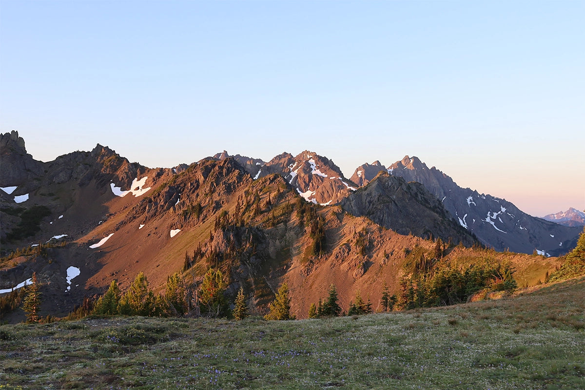 Landscape image of the mountain range and field in eastern Washington.