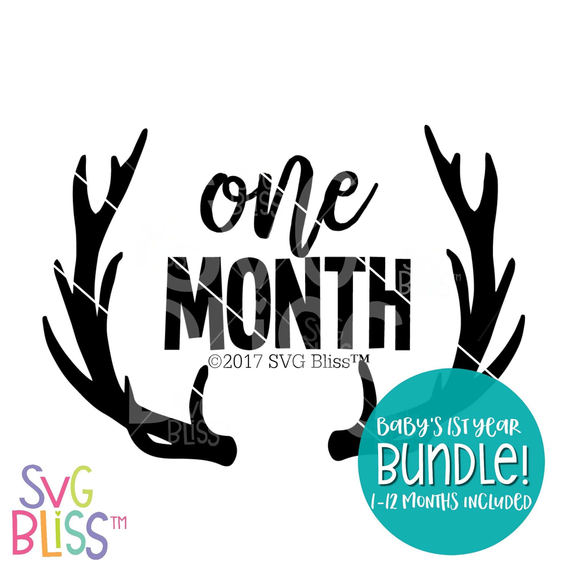 Download Svg Bliss Baby S First Year Bundle Monthly Milestone Svg Files