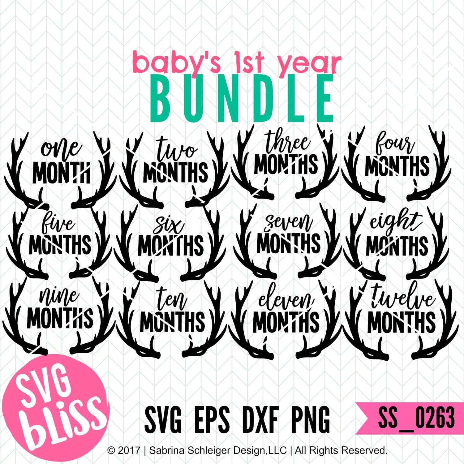 Download Svg Bliss Baby S First Year Bundle Monthly Milestone Svg Files