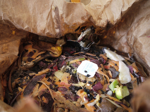 How To Start Composting In A Tiny Nyc Apartment Local Roots Nyc
