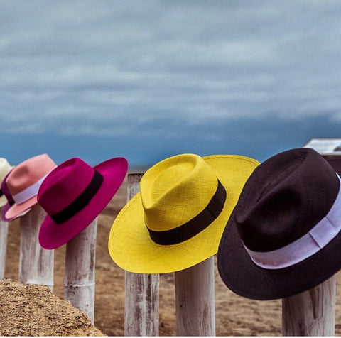 colorful panama hats