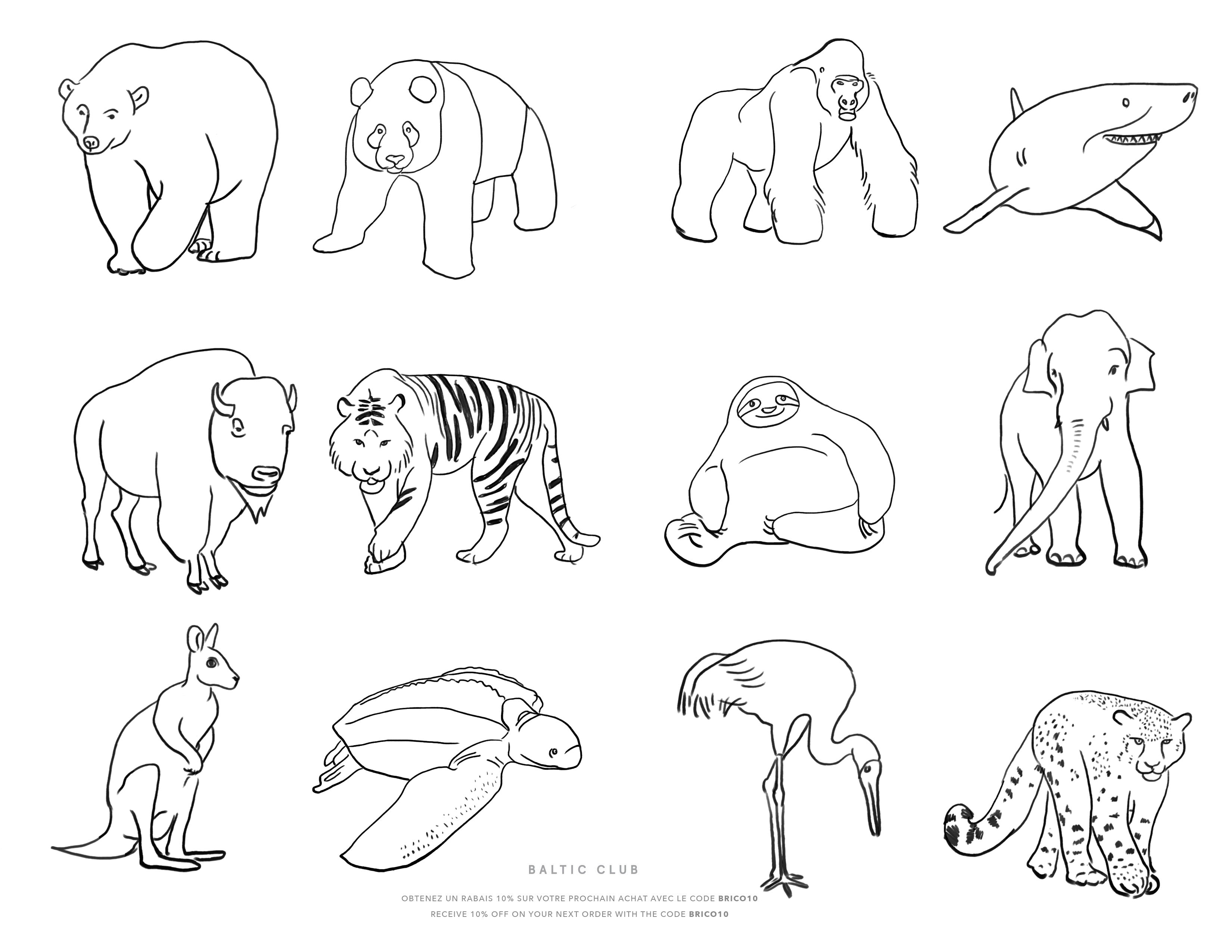Great Endangered Animal Coloring Pages For Kids of all time Check it out now 