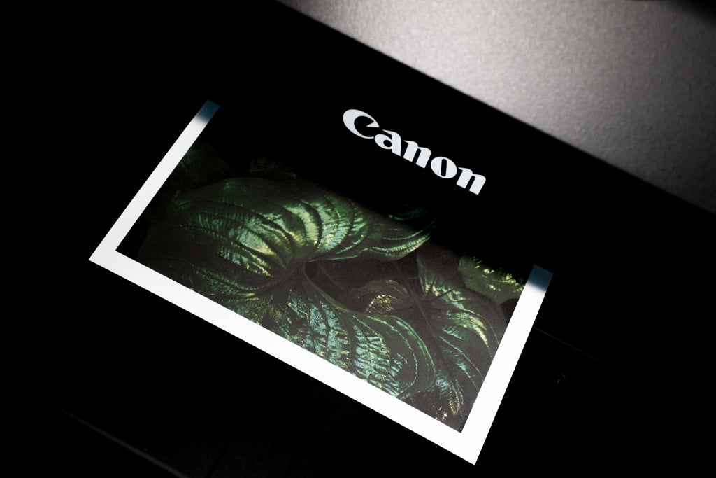 Canon Pixma printing a photographic jungle on a card