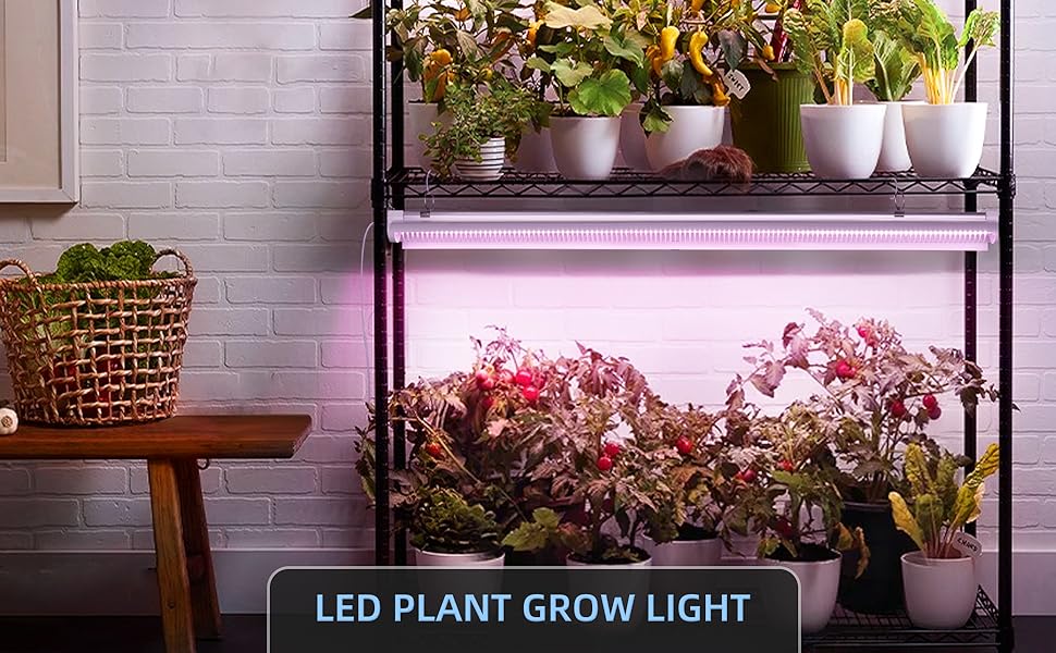 LED grow light