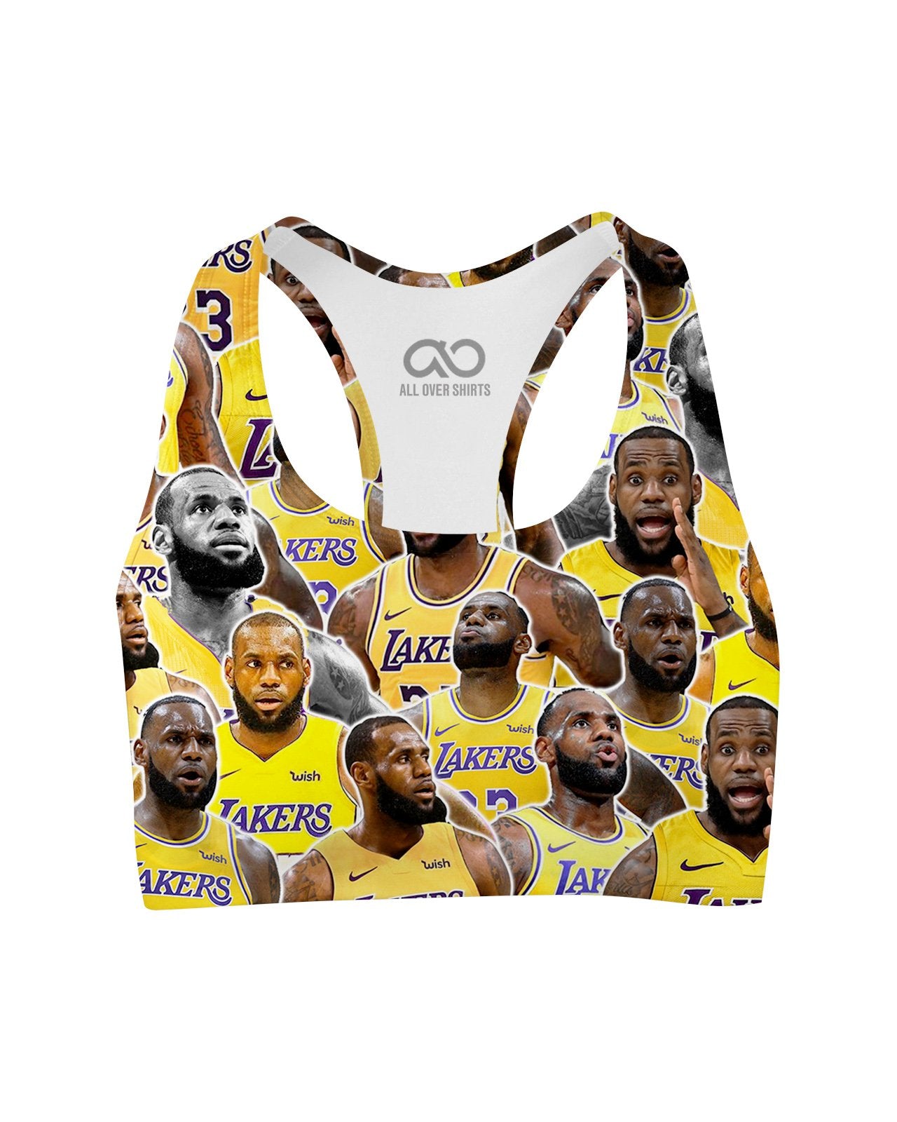 lebron lakers dog jersey