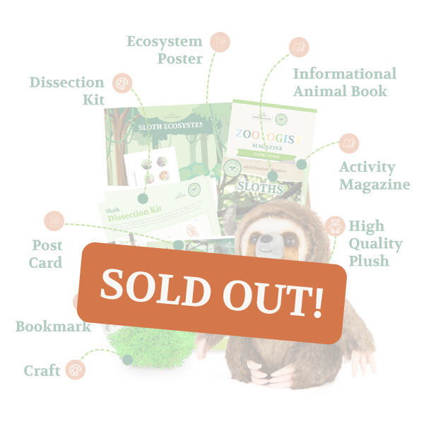 Sold Out - Zoologist Box