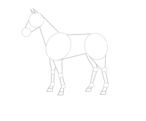 drawing a horse step 2