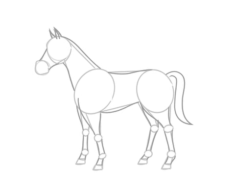 how to draw a horse