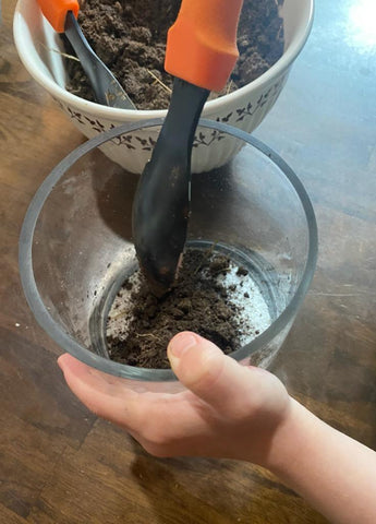 Scooping dirt into a container