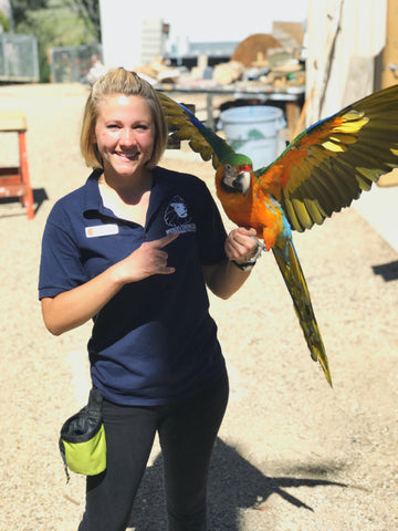 student with catalina macaw