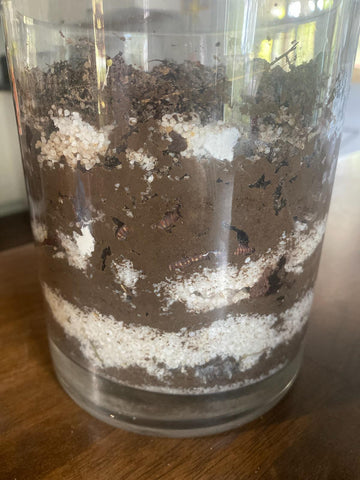 Mixed sand and dirt, a result of the worms' hard work