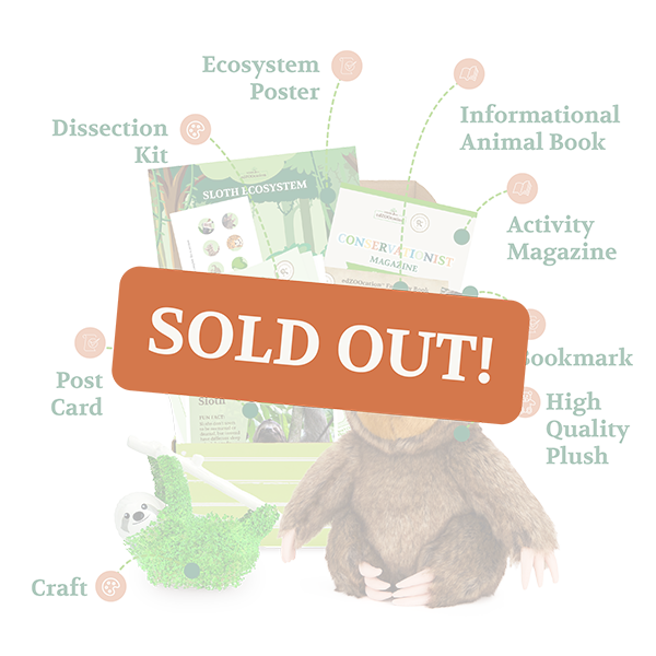 Conservationist Box - Sold Out