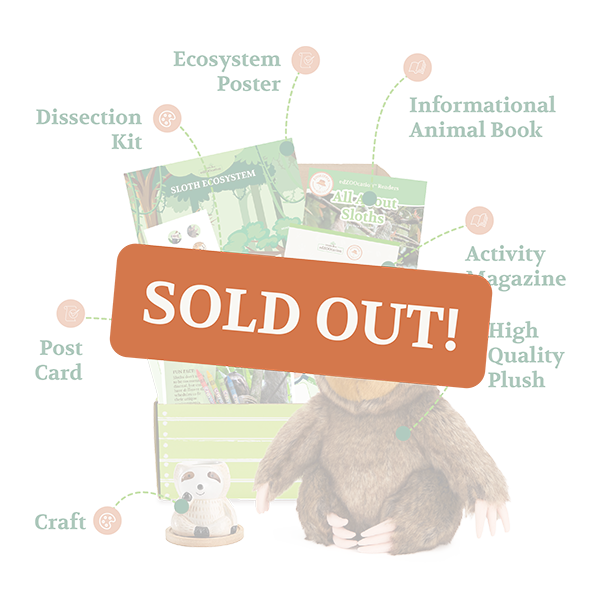 Sloth Zookeeper Box - Sold Out