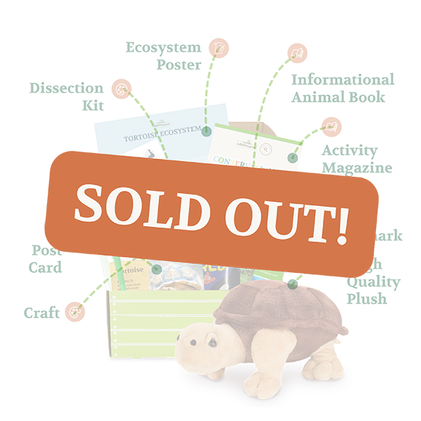 Conservationist Box - SOLD OUT