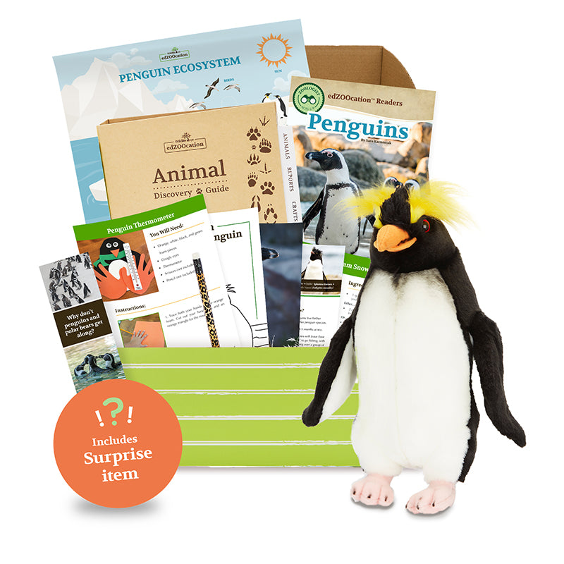 Penguin edZOOcation Box