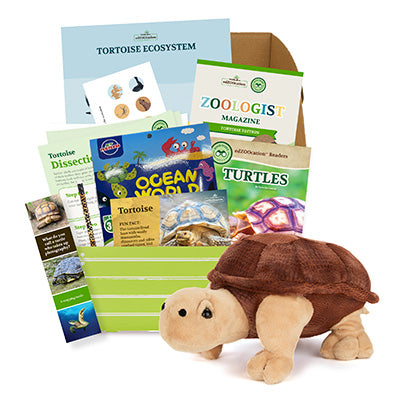 Tortoise edZOOcation Box