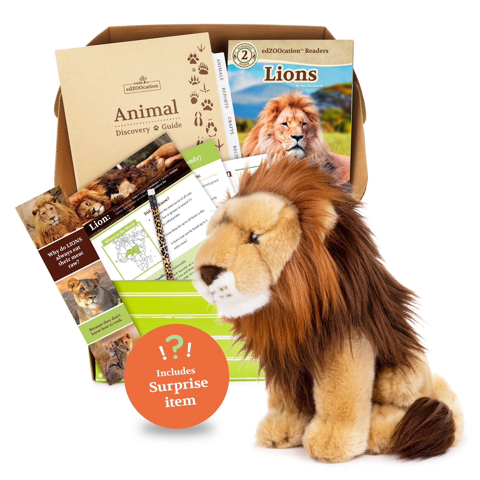 Lion edZOOcation Box