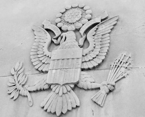 american seal bald eagle symbol