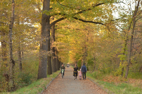 family walk in park