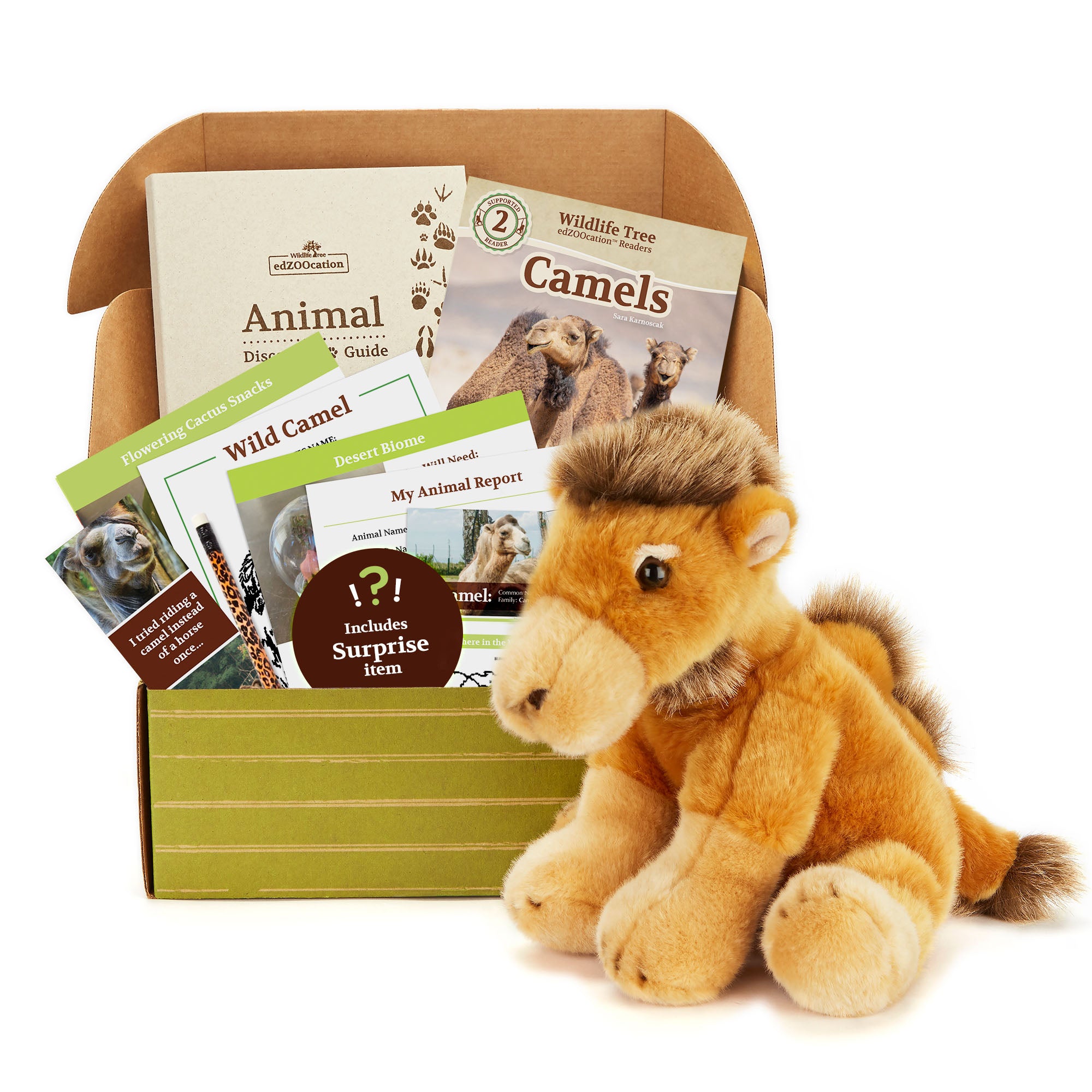 Camel edZOOcation Box