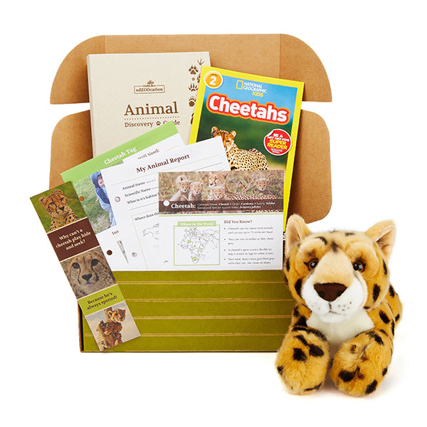 Cheetah edZOOcation Box