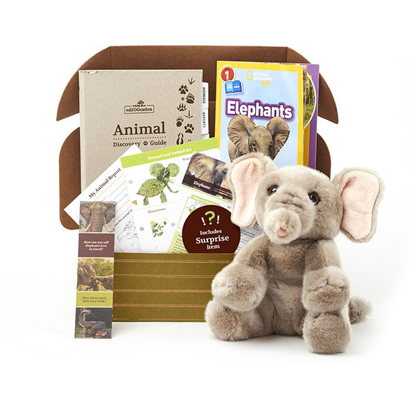 Elephant edZOOcation Box