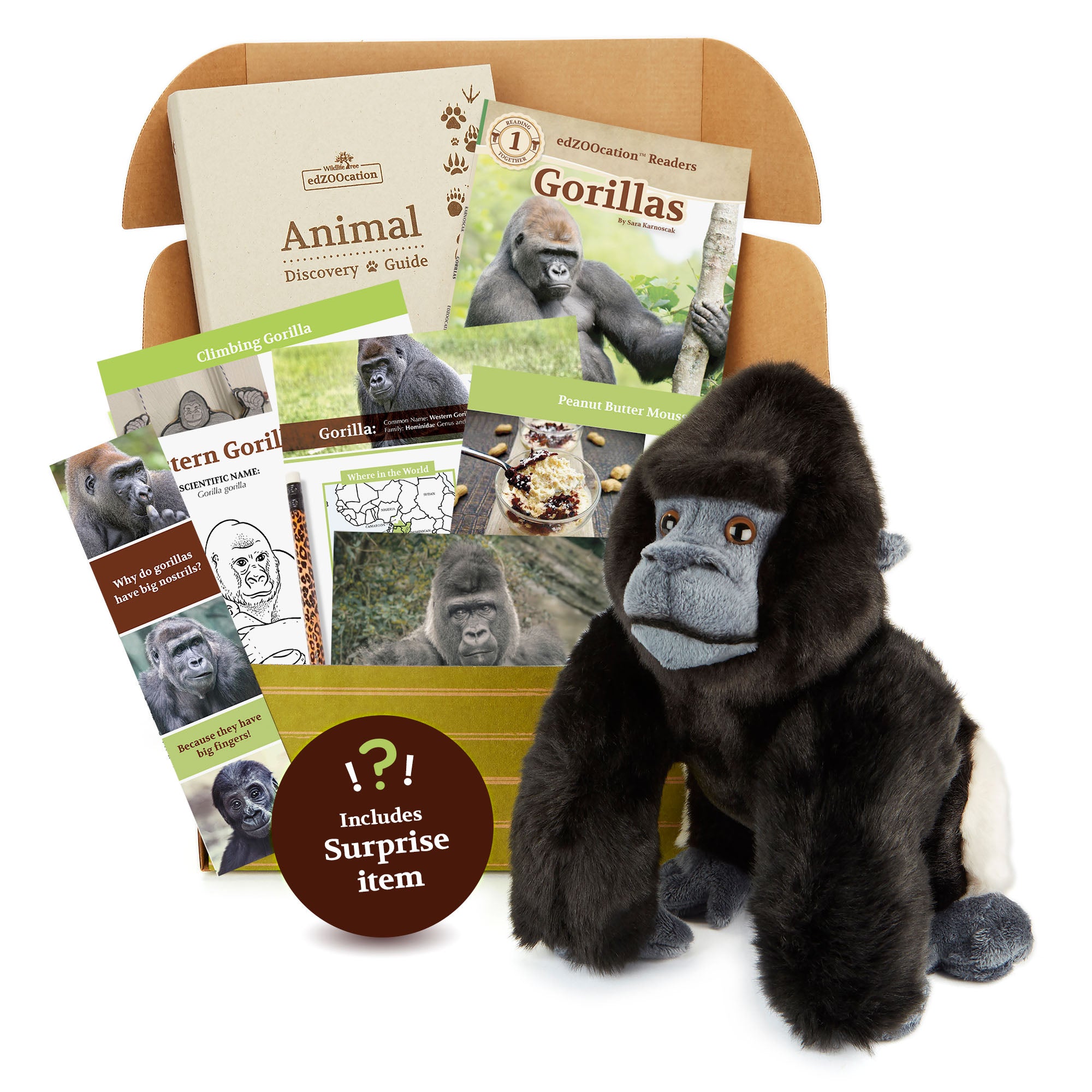 Gorilla edZOOcation Box