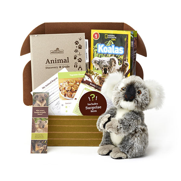 Koala edZOOcation Box