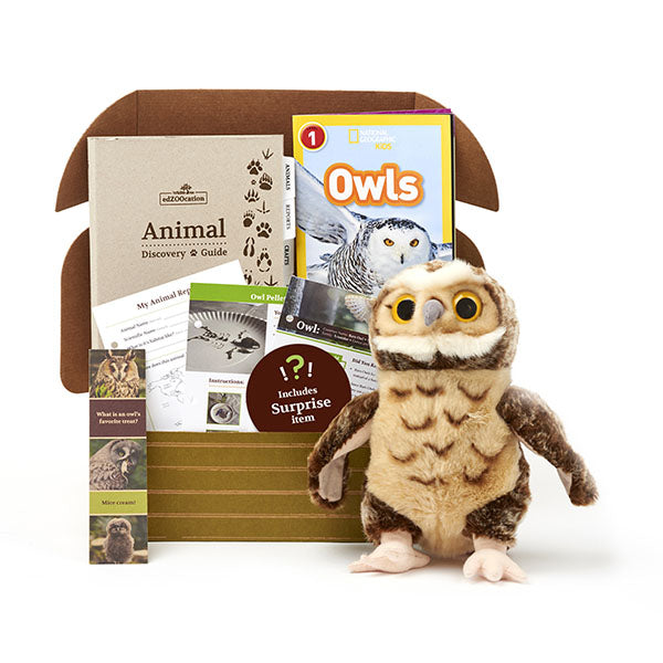 Owl edZOOcation Box