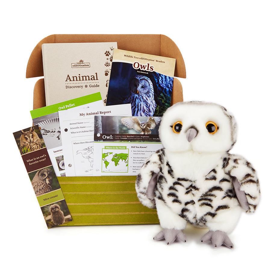 Snowy Owl edZOOcation Box