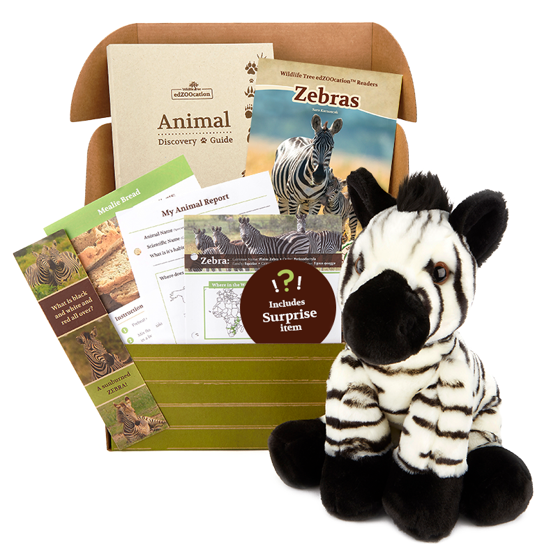 Zebra edZOOcation Box