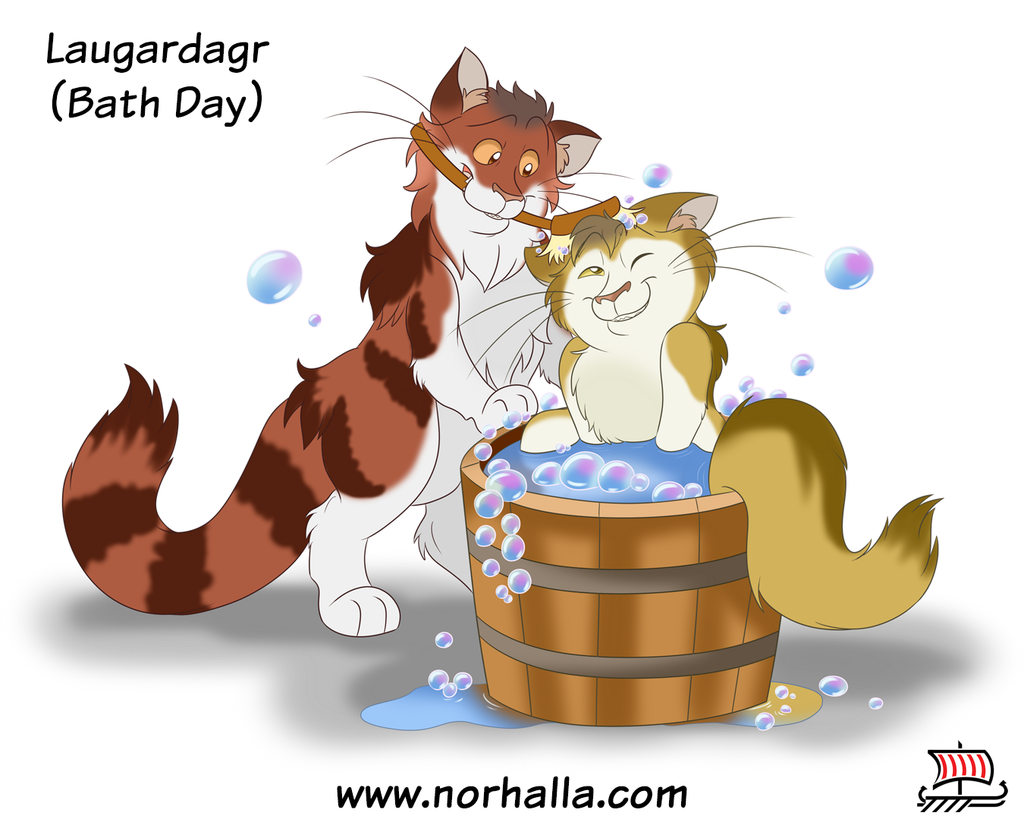 Norse named Saturday for Bath Day from blog article The Days of the Week are named after our Norse Gods, copyright Norhalla.com