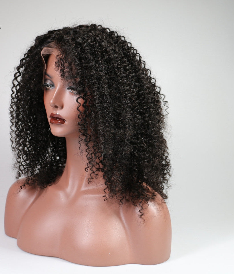 SAM Afro Kinky Curly Full Lace Human Hair Wig The Hair Gaallery