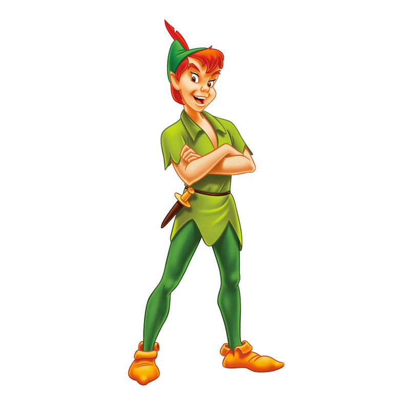 Peter Pan Captain Hook Prop