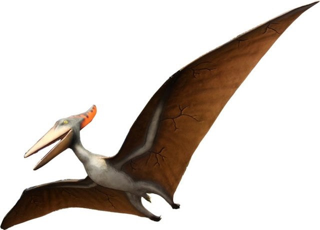 Pteranodon Flying Dinosaur – Platinum Prop Rentals