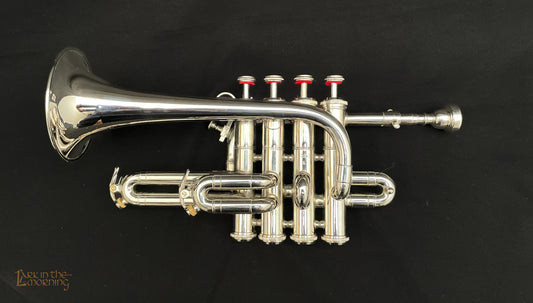 Fanfare Coach Silver Plated Horn 44 inch – Lark in the Morning