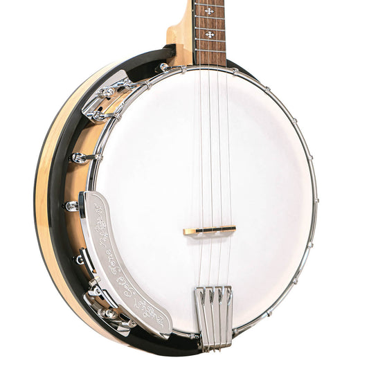 Gold Tone Mandolin Banjo (Banjolin) – Lark in the Morning