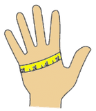 hand measurement